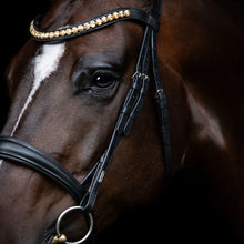 Load image into Gallery viewer, LUMIERE- Athens Leather Bridle - BLACK - COB

