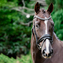 Load image into Gallery viewer, LUMIERE-Melodie Classic Bridle - BLACK- FULL
