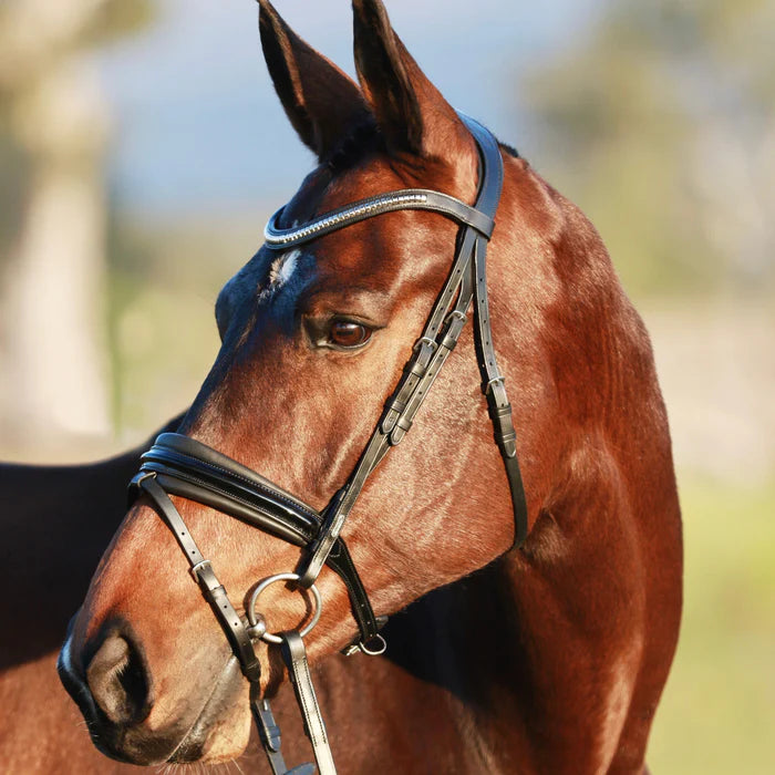 LUMIERE-Melodie Classic Bridle - BROWN - FULL