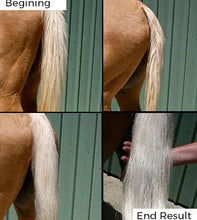 Load image into Gallery viewer, HSE Hitone Silver X 2  - 250 ml
