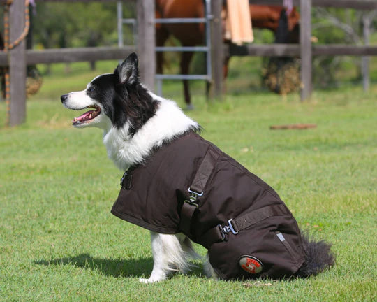 Dog Coat - oil Skin - - BROWN