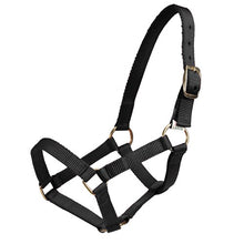 Load image into Gallery viewer, Mini Horse Halter - Black - Mini / Small
