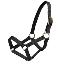 Load image into Gallery viewer, Mini Horse Halter Black - Mini / medium
