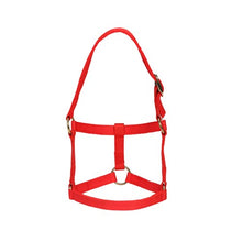 Load image into Gallery viewer, Mini Horse Halter - Red - Mini / Assorted Sizes
