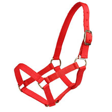Load image into Gallery viewer, Mini Horse Halter - Red - Mini / Assorted Sizes
