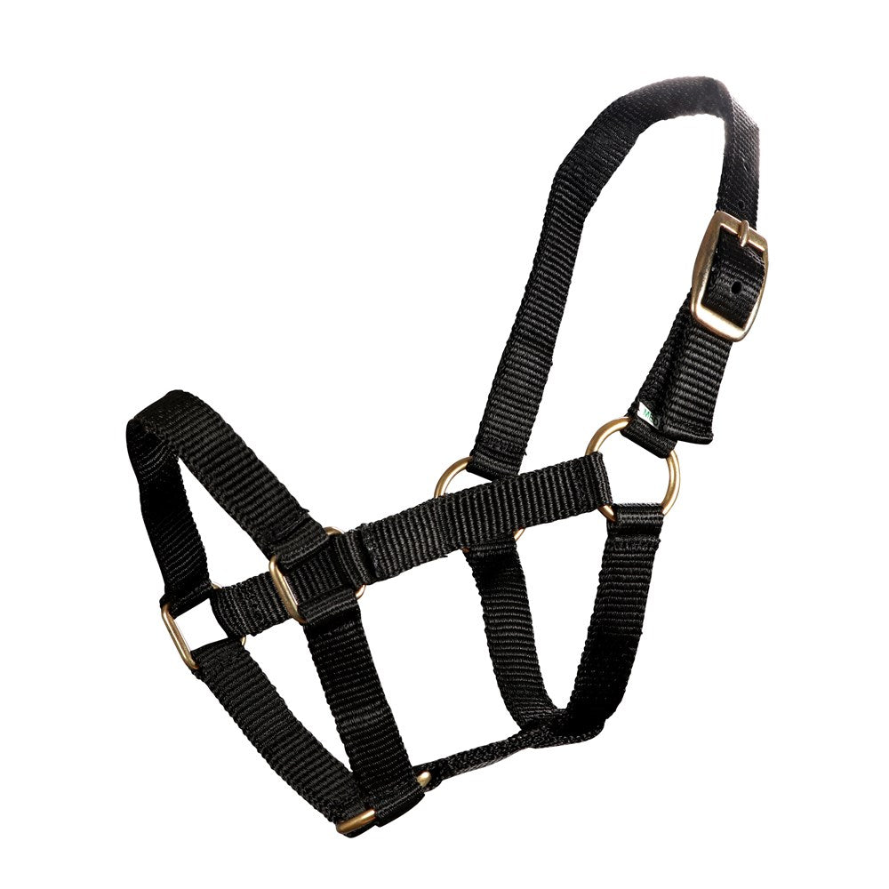 Mini Horse Halter Black - Mini / medium