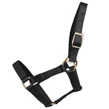 Load image into Gallery viewer, Mini Horse Halter - Black - Mini / Small
