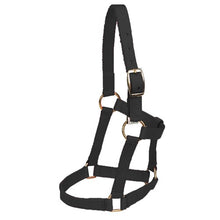 Load image into Gallery viewer, Mini Horse Halter - Black - Mini / Small
