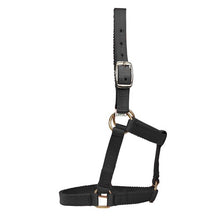 Load image into Gallery viewer, Mini Horse Halter - Black - Mini / Small
