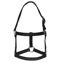 Load image into Gallery viewer, Mini Horse Halter - Black - Mini / Small
