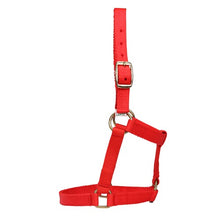 Load image into Gallery viewer, Mini Horse Halter - Red - Mini / Assorted Sizes
