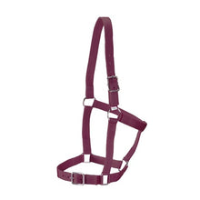Load image into Gallery viewer, Halter - Stable -Rancher - FULL - ASSORTED COLORS
