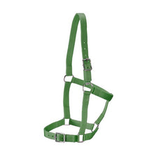 Load image into Gallery viewer, Halter - Stable -Rancher - FULL - ASSORTED COLORS
