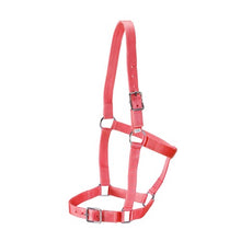 Load image into Gallery viewer, Halter - Stable -Rancher - FULL - ASSORTED COLORS

