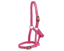 Load image into Gallery viewer, FOAL Halter - Delux - PINK &amp; BABY BLUE

