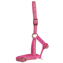 Load image into Gallery viewer, FOAL Halter - Delux - PINK
