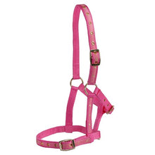 Load image into Gallery viewer, FOAL Halter - Delux - PINK
