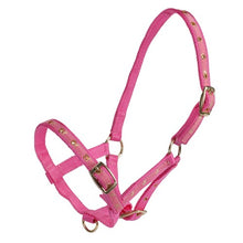 Load image into Gallery viewer, FOAL Halter - Delux - PINK

