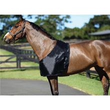 Load image into Gallery viewer, Bib - Satin Rug Bib - Black-- ASSORTED SIZES
