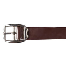 Load image into Gallery viewer, PVC Rug Chest Strap
