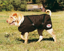 Load image into Gallery viewer, Dog Coat - Oil Skin - Brown  - Thermo Master - ASSORTED SIZES

