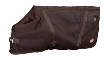 Load image into Gallery viewer, Dog Coat - Oil Skin - Brown  - Thermo Master - ASSORTED SIZES
