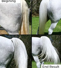 Load image into Gallery viewer, HSE Hitone Silver X 2  - 250 ml
