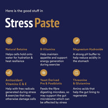 Load image into Gallery viewer, Stress Paste -  Poseidon - 60 ml
