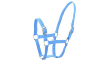 Load image into Gallery viewer, Eureka Buckle Halter -  VARIOUS COLORS
