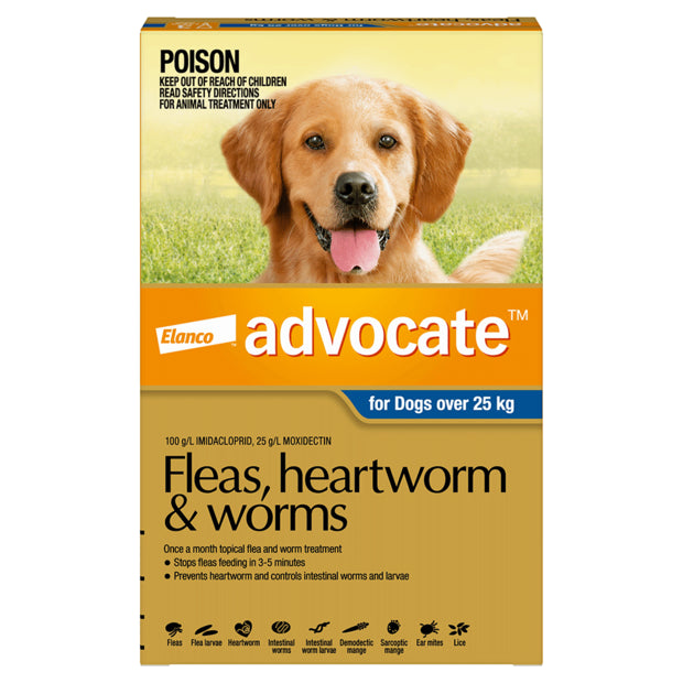 Advocate Dogs over 25KG - 6 pack - blue