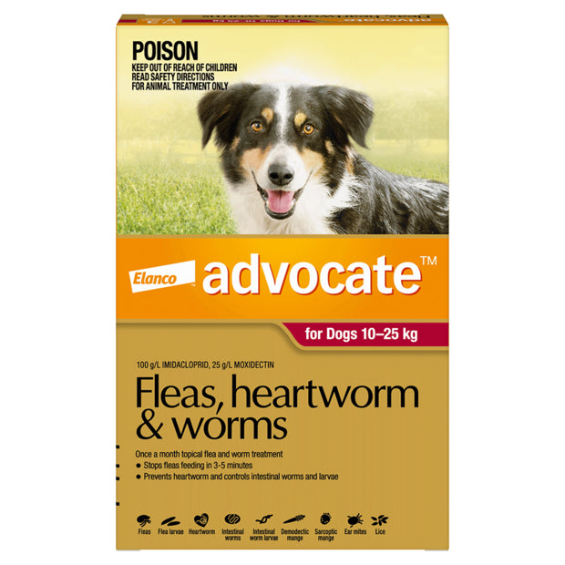 Advocate Large Dog red 10-25kg 6 pack - Red