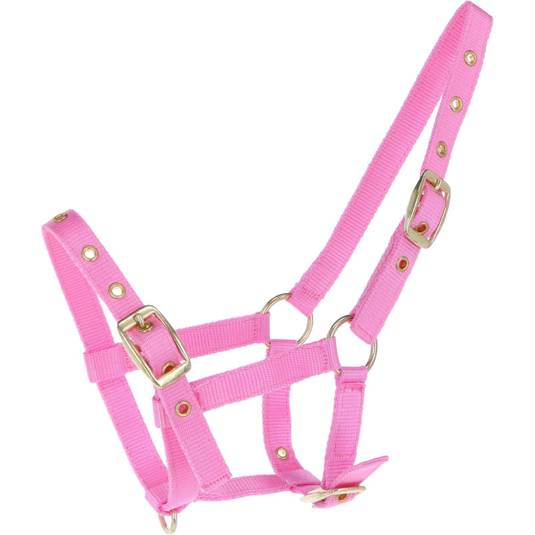 Foal Halter with Buckle - Pink