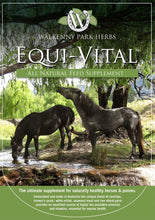 Load image into Gallery viewer, Equivital 4.5kg
