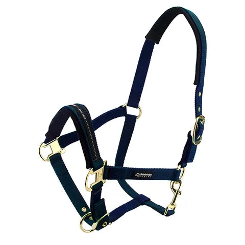 Halter - Bainbridge - VARIOUS COLORS and SIZES