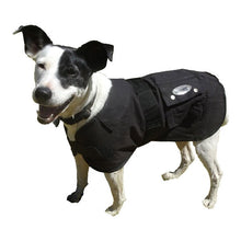 Load image into Gallery viewer, Oil skin Dog Coat - with Fur - Nullarbor - BROWN
