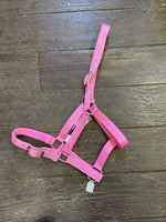 Load image into Gallery viewer, Eureka Buckle Halter ASSORTED COLORS and SIZES
