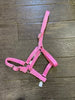 Eureka Buckle Halter ASSORTED COLORS and SIZES