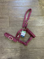 Load image into Gallery viewer, Eureka Buckle Halter ASSORTED COLORS and SIZES
