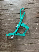 Load image into Gallery viewer, Eureka Buckle Halter -ASSORTED COLORS &amp; SIZES
