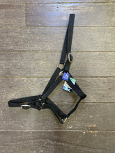 Load image into Gallery viewer, Eureka Buckle Halter ASSORTED COLORS and SIZES
