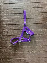 Load image into Gallery viewer, Eureka Buckle Halter ASSORTED COLORS and SIZES
