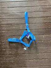 Load image into Gallery viewer, Eureka Buckle Halter ASSORTED COLORS and SIZES
