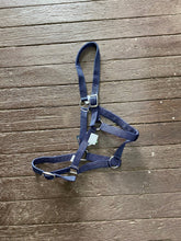 Load image into Gallery viewer, Eureka Buckle Halter ASSORTED COLORS and SIZES
