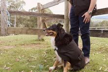 Load image into Gallery viewer, Oil skin Dog Coat - with Fur - Nullarbor - BROWN

