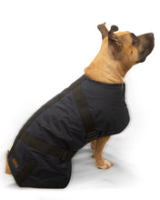 Load image into Gallery viewer, Oil skin Dog Coat - with Fur - Nullarbor - BROWN
