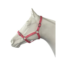Load image into Gallery viewer, Eureka Buckle Halter -ASSORTED COLORS &amp; SIZES
