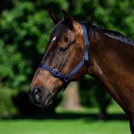 Halter - Eureka - WARMBLOOD - Navy