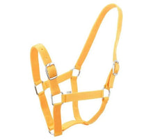 Load image into Gallery viewer, Eureka Buckle Halter -ASSORTED COLORS &amp; SIZES
