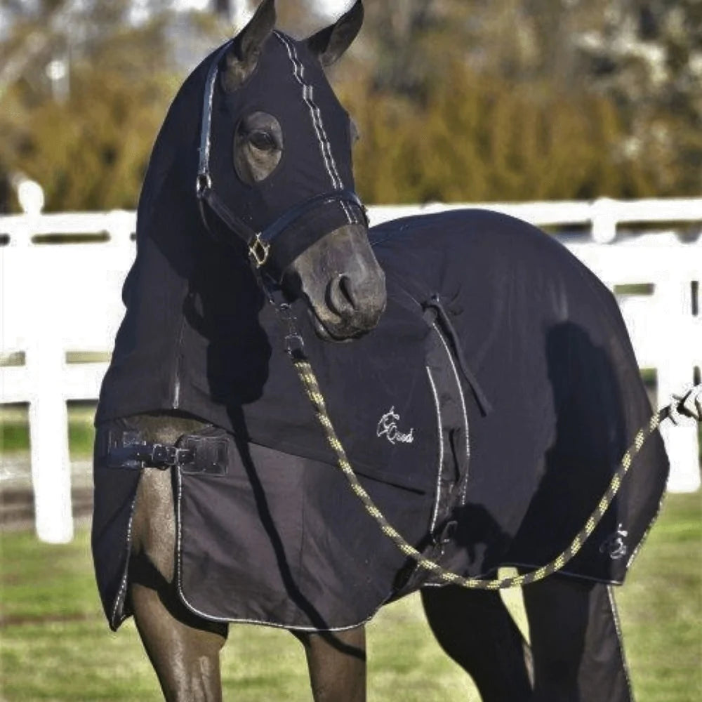 Earlwood - Cotton Show rug - BLACK/GOLD