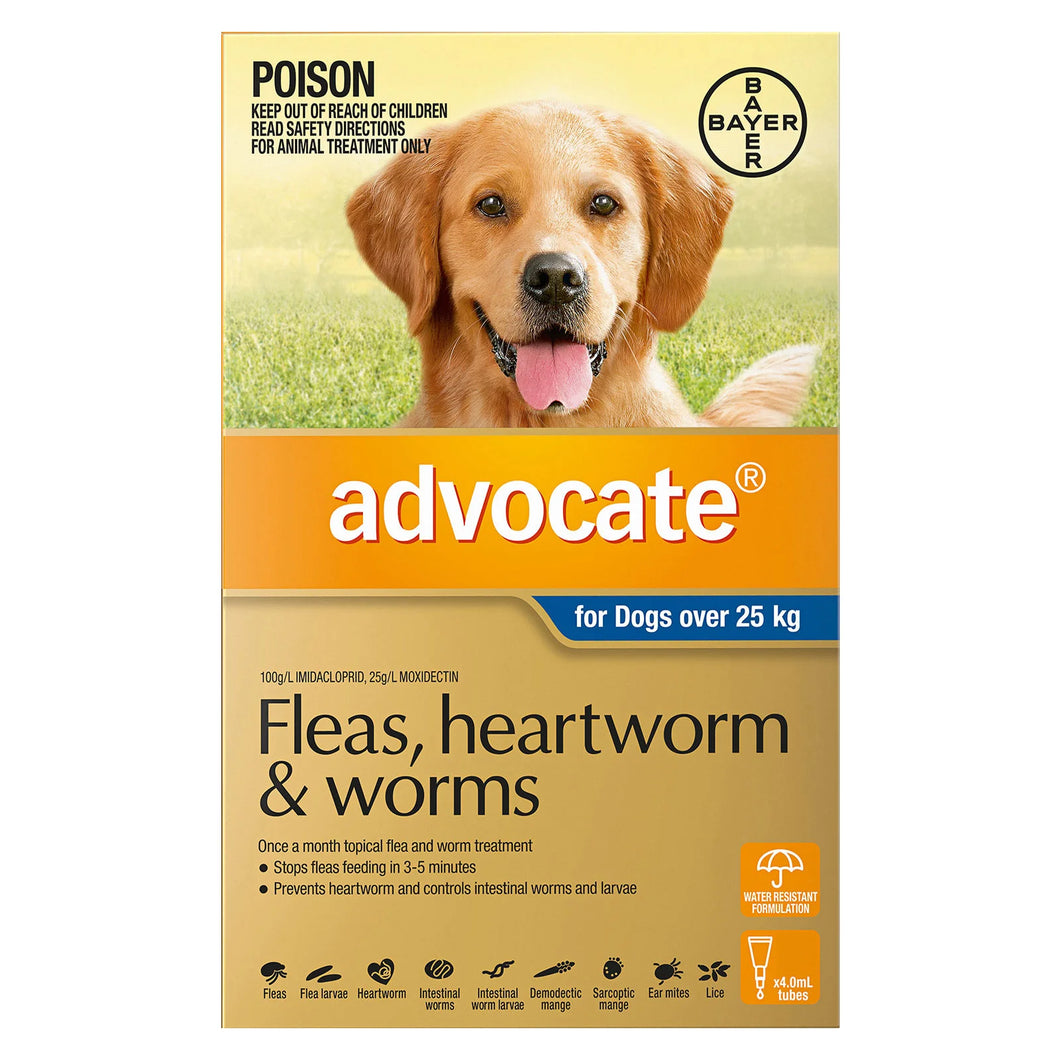 Advocate Dogs over 25KG - 3 pack - blue